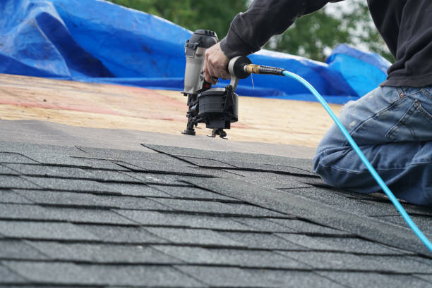 Best Asphalt Shingles Roofing  in West Samoset, FL